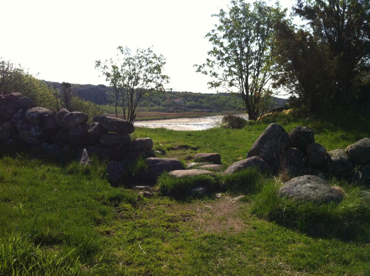 Stuga I Naturskoent Omrade Pa Vaestra Tjoern Saby エクステリア 写真