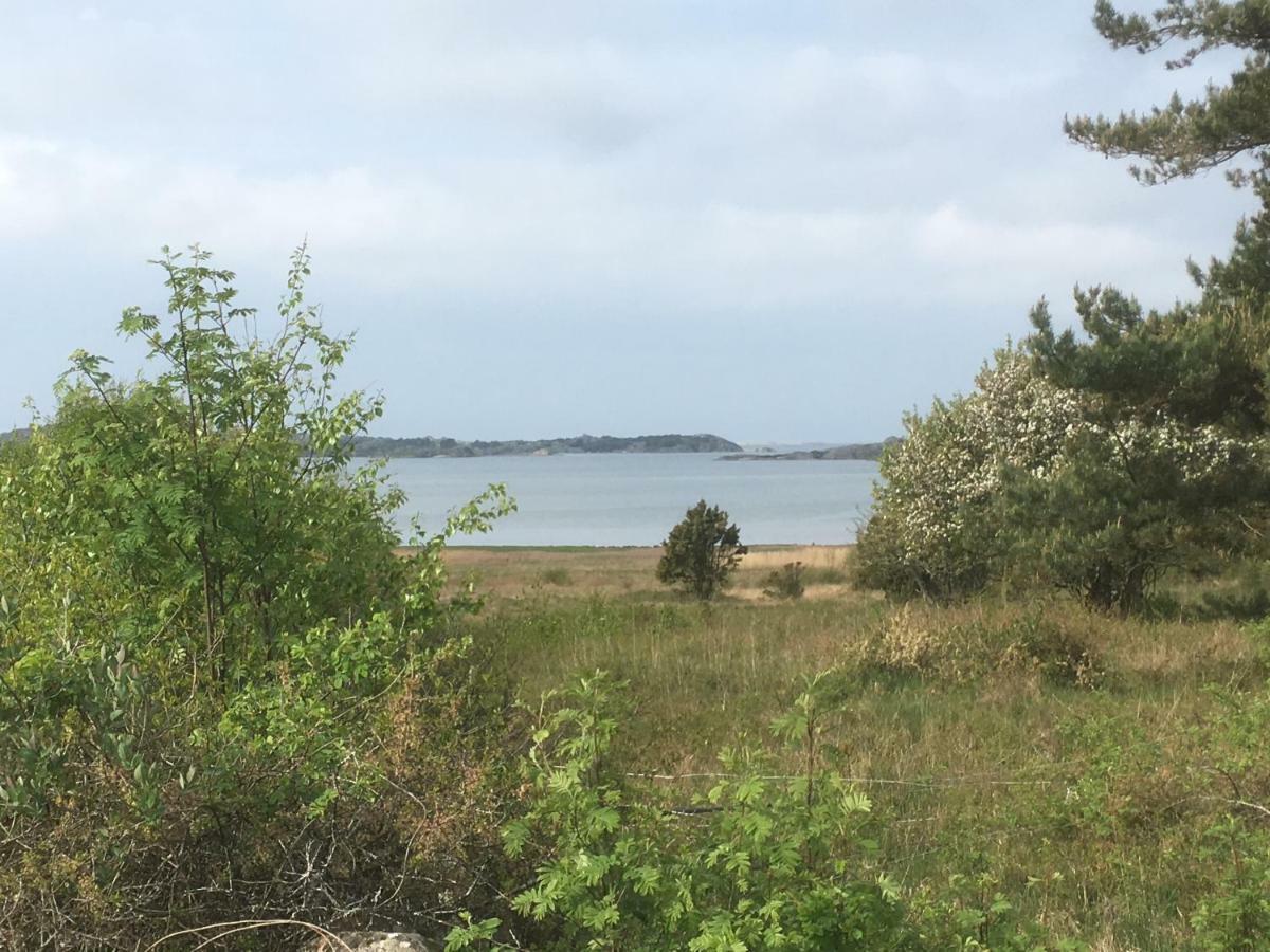 Stuga I Naturskoent Omrade Pa Vaestra Tjoern Saby エクステリア 写真